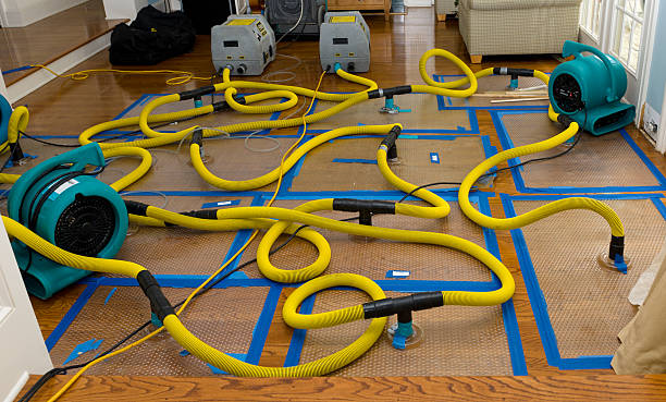 Professional Water Extraction technician working in Pasadena, TX
